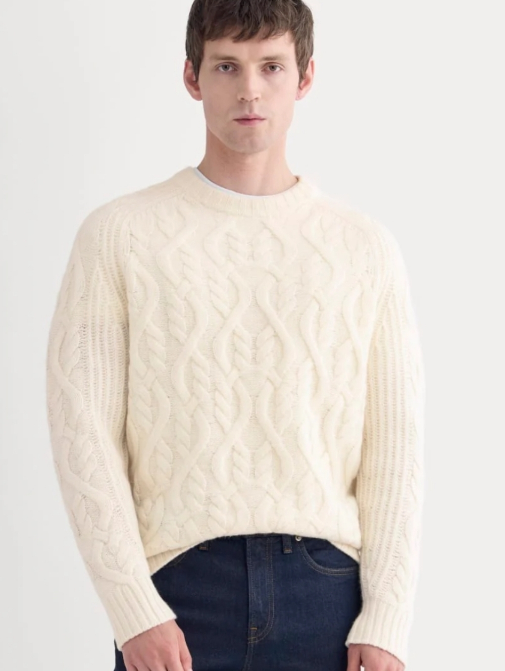🆕 EVERLANE The Cable Knit Crew in Luxe Merino